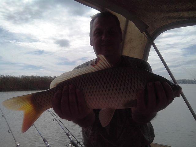 Sulina sept. 2013 - part. I - img20130918115303.jpg